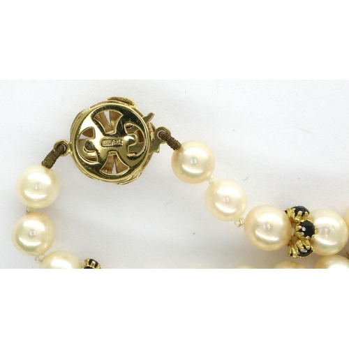 95 - Modern pearl choker with 9ct gold clasp and sapphire and gold spacers, L: 40 cm. Good order througho... 