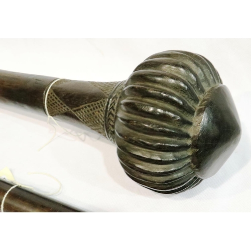 293 - Fijian Tribal throwing club, L: 48 cm and staff, L: 61 cm. P&P Group 1 (£14+VAT for the first lot an... 