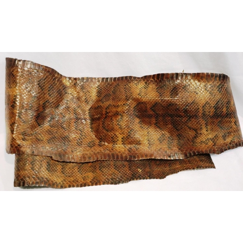 302 - Vintage West Indian cobra skin, L: 175 cm. P&P Group 3 (£25+VAT for the first lot and £5+VAT for sub... 