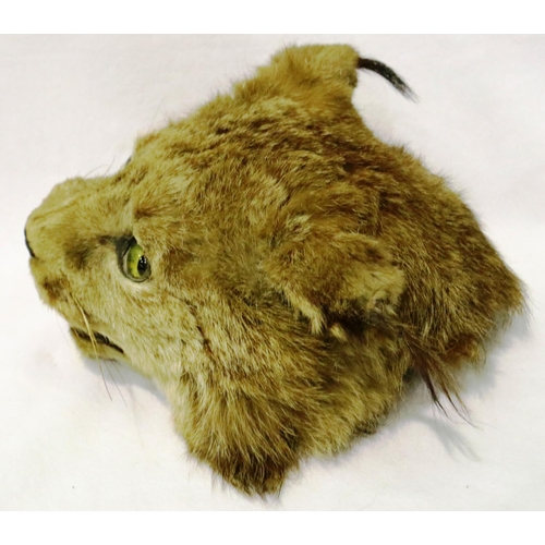 309 - Taxidermy Lynx head with glass eyes, L: 20 cm. P&P Group 3 (£25+VAT for the first lot and £5+VAT for... 