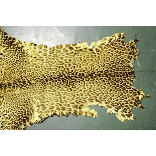 314 - Antique leopard skin, some holes and fading, L: 140 cm. P&P Group 3 (£25+VAT for the first lot and £... 