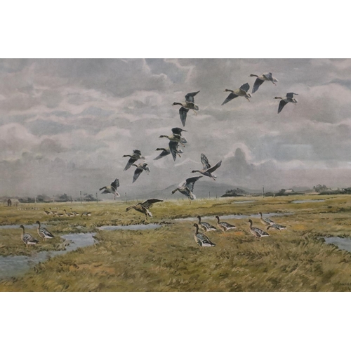 3001 - Hugh Monahan (Irish, 1914-1970): a pair of prints, Estuary scenes with wild birds in flight, each 61... 