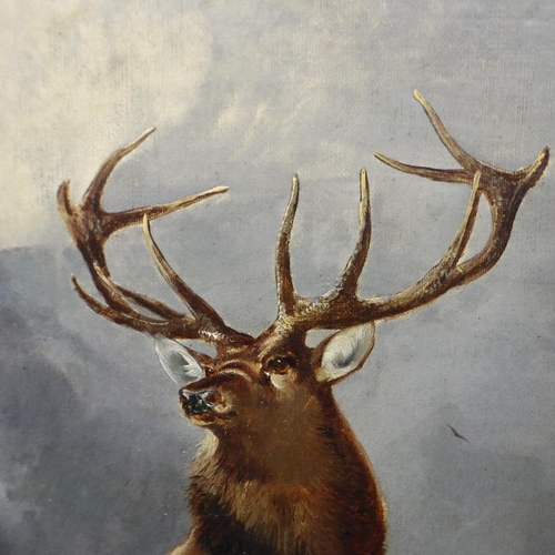 3007 - James W Morris (1860-1890): oil on canvas of stags in Scottish highland scene, gilt frame, signed, 3... 