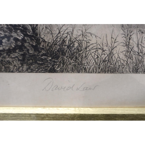 3019 - David Law (1831-1902): pencil signed monochrome engraving, Richmond Castle, 71 x 64 cm. Not availabl... 