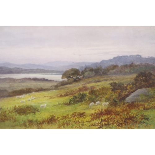 2001 - John Cuthbert Salmon (1844-1917): watercolour, Lakeside Landscape with Sheep, 53 x 33 cm. Not availa... 