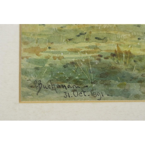 2019 - Peter Buchanan (1880-1911): watercolour, Spring Valley IOM, dated 1891, 37 x 26 cm. Not available fo... 