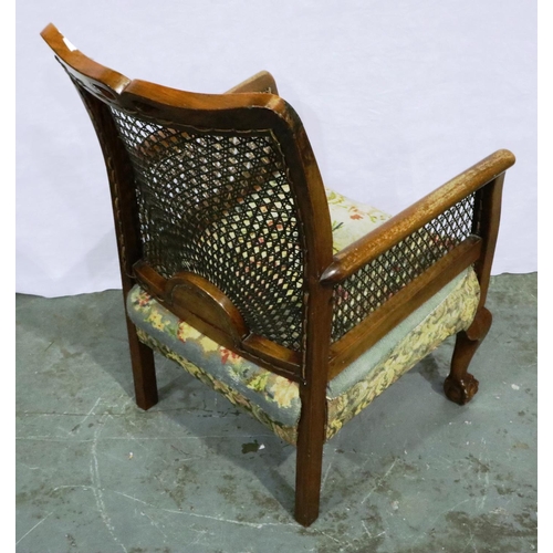 3029 - An early 20th century walnut framed salon chair with caned bergere backrest and raised on claw and b... 