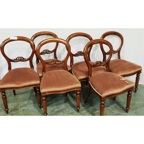 3059 - A set of six Victorian style balloon back dining chairs, each with upholstered seat. Not available f... 