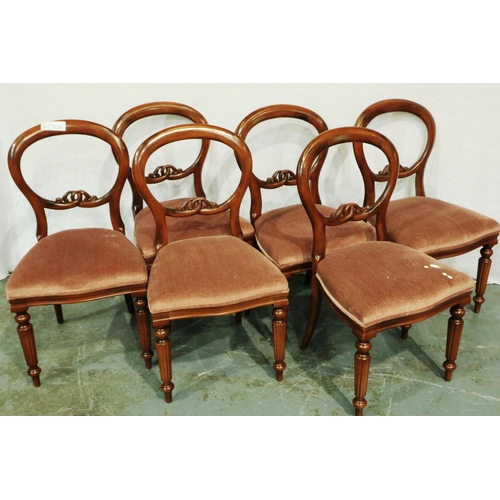 3059 - A set of six Victorian style balloon back dining chairs, each with upholstered seat. Not available f... 