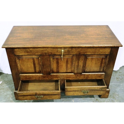 3077 - A 19th century oak chest having panelled front and two lower drawers, 111 x 47 x 74 cm H, scratch ma... 