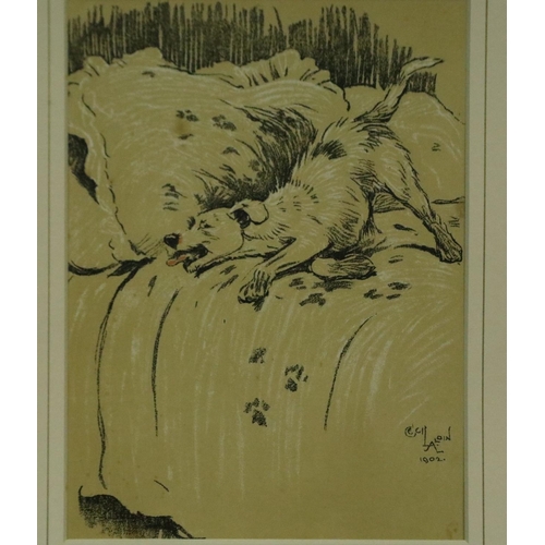 3152 - Cecil Aldin (1870 - 1935): early 20th century lithograph, Muddy Paws, 19 x 25 cm. Not available for ... 