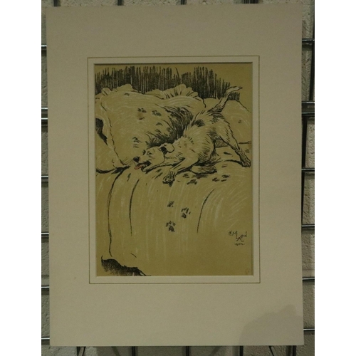 3152 - Cecil Aldin (1870 - 1935): early 20th century lithograph, Muddy Paws, 19 x 25 cm. Not available for ... 