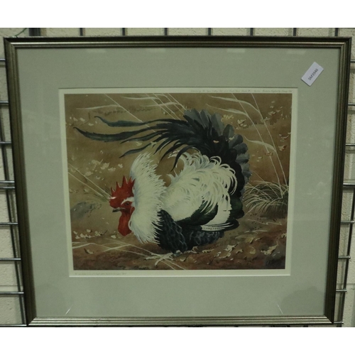 3157 - Charles Frederick Tunnicliffe (1901 - 1979): limited edition lithograph, Cockerel, no 210/350, 42 x ... 