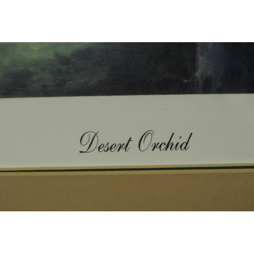 3185A - David French (20th century): pencil signed lithograph, Desert Orchid, 49 x 38 cm. Not available for ... 