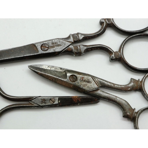 174 - Snakeskin scissor case, with three pairs of scissors, case L: 16 cm. P&P Group 1 (£14+VAT for the fi... 