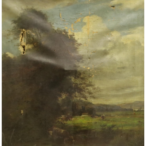 2033 - Davies (19th century): oil on canvas, cows in a field, extremely distressed canvas with holes, 69 x ... 