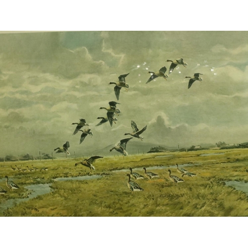 2005 - Hugh Monahan (Irish, 1914-1970): a pair of prints, estuary scenes with wild birds in flight, each 61... 