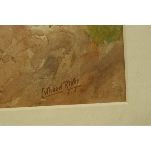 2007 - Cuthbert Rigby (1850-1935): watercolour, a stream through the Lake District, 49 x 29 cm. Not availab... 