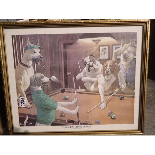 1285 - The Scratching Beagle print by Arthur Sarnoff. Not available for in-house P&P