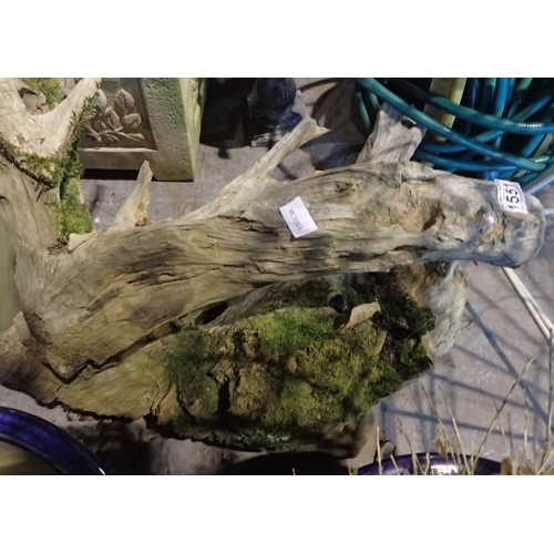 1551 - Driftwood garden ornament, L: 90 cm. Not available for in-house P&P