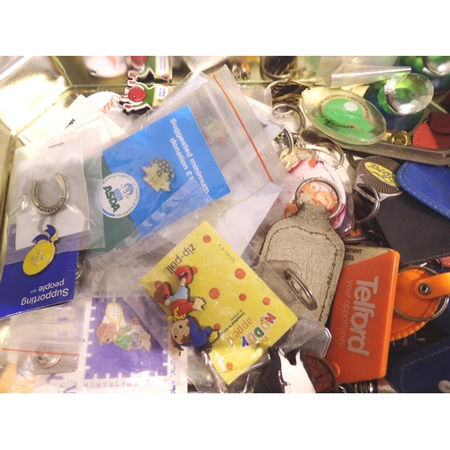 1099 - Collection of keyrings and pin badges including Noddy. P&P Group 1 (£14+VAT for the first lot and £1... 