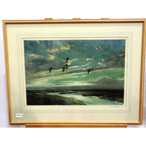 2023H - Sir Peter Markham Scott (1909-1990): artist signed print, Birds In Flight, 56 x 38 cm. Not available... 