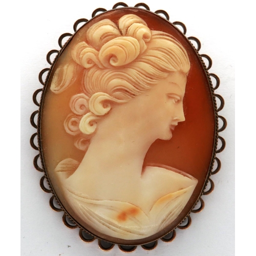 22 - Shell cameo brooch on a yellow metal mount, with safety chain, 40 x 60 mm. P&P Group 1 (£14+VAT for ... 