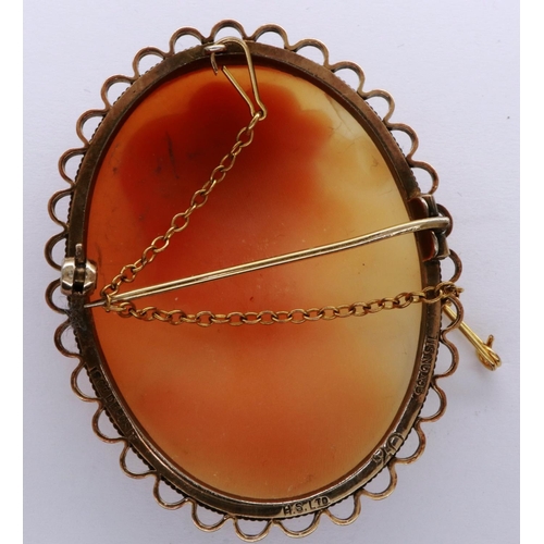 22 - Shell cameo brooch on a yellow metal mount, with safety chain, 40 x 60 mm. P&P Group 1 (£14+VAT for ... 