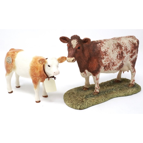 240 - Two Border Fine Arts cows, largest H: 11 cm, no cracks or chips. P&P Group 2 (£18+VAT for the first ... 