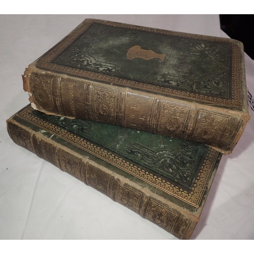 1254 - Shakespeare in two volumes by Samuel Phelps, published by W.R McPhun, circa 1900. P&P Group 1 (£14+V... 