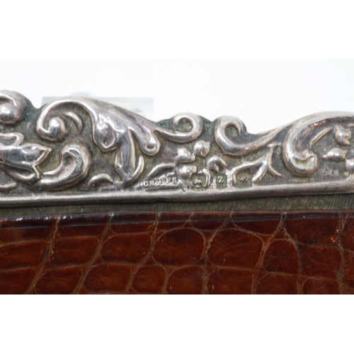 116 - Hallmarked silver mounted comb in snakeskin case, Birmingham assay. P&P Group 1 (£14+VAT for the fir... 