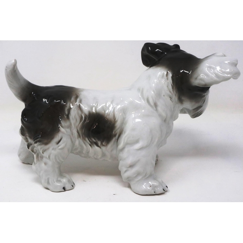 204 - German made ceramic Yorkshire terrier figurine, L: 18 cm, chips to ears. P&P Group 1 (£14+VAT for th... 