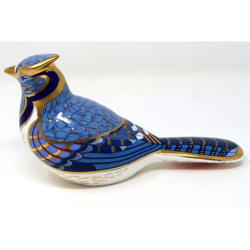 244 - Royal Crown Derby Blue Jay bird paperweight, with silver stopper, L: 19 cm, no cracks or chips. P&P ... 