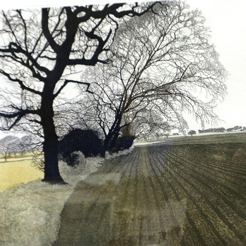 362 - P Greenwood, limited edition print, Furrows, number 162/250, 50 x 50 cm. Not available for in-house ... 