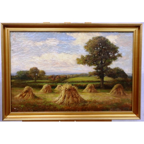 367 - Victorian oil on canvas of wheat sheaves, 50 x 71 cm. Not available for in-house P&P