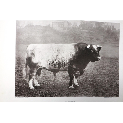 400 - Notable Modern Shorthorns by Gilbert H Parsons, limited number 94/100, dated 1906, signed. P&P Group... 