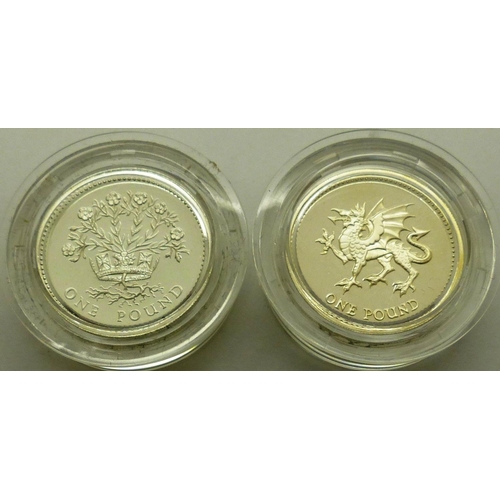 2257 - Two silver proof one pound coins, Northern Ireland and Wales, each boxed with certificates. P&P Grou... 