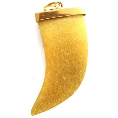 4 - 9ct gold mounted lions claw, H: 30 mm. P&P Group 1 (£14+VAT for the first lot and £1+VAT for subsequ... 