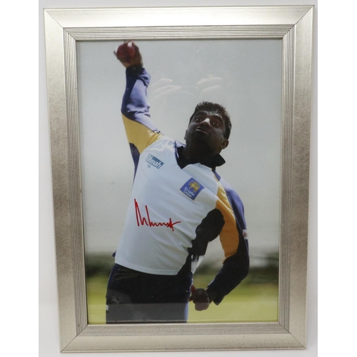 2136 - Muttiah Muralitharan (Sri Lanka Cricket) signed publicity shot photograph, 20 x 29 cm. POSTAGE EXCLU... 