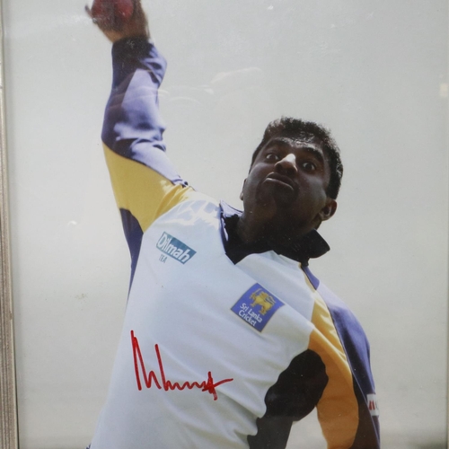 2136 - Muttiah Muralitharan (Sri Lanka Cricket) signed publicity shot photograph, 20 x 29 cm. POSTAGE EXCLU... 