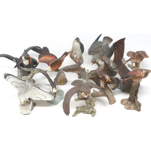 216 - Twelve Franklin Mint porcelain birds of prey. P&P Group 2 (£18+VAT for the first lot and £3+VAT for ... 