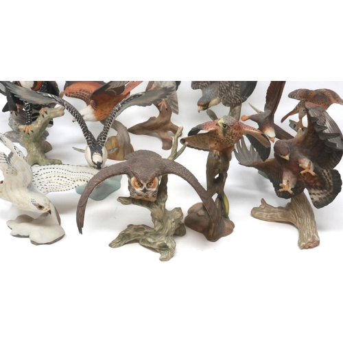 216 - Twelve Franklin Mint porcelain birds of prey. P&P Group 2 (£18+VAT for the first lot and £3+VAT for ... 