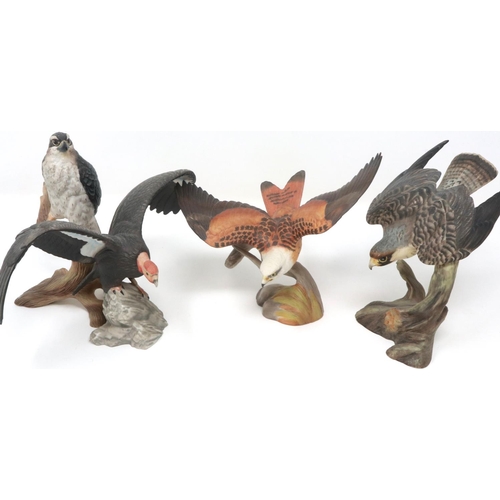 216 - Twelve Franklin Mint porcelain birds of prey. P&P Group 2 (£18+VAT for the first lot and £3+VAT for ... 