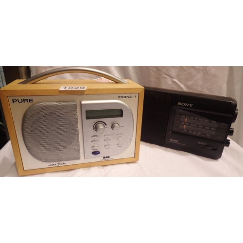 1029 - Pure DAB radio and Sony 3 band radio with power supplies, working at lotting. All electrical items i... 