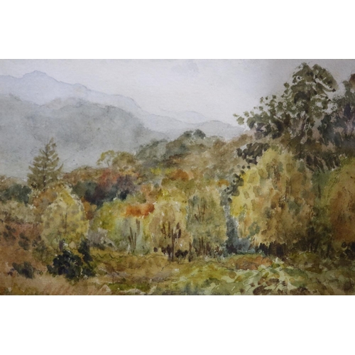 2071 - Cuthbert Rigby (1850-1935): watercolour, mountainous landscape, 16 x 11 cm. Not available for in-hou... 