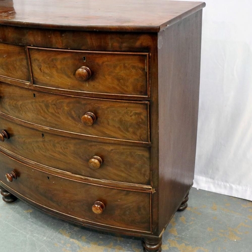 2117 - Victorian mahogany bow fronted chest of two short over three long drawers, 106 x 56 x 112 cm H. Not ... 