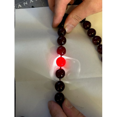 77 - Cherry amber bead necklace with individual knots to string, L: 102 cm, weight: 153.68g, the habbes a... 