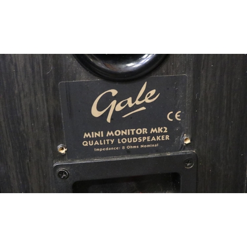 Gale store mini monitor