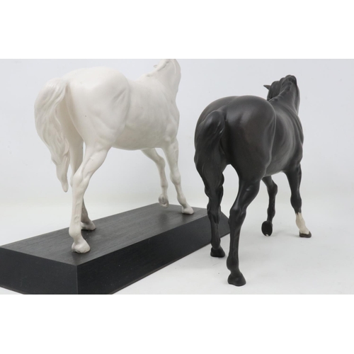 339 - Beswick matte Black Beauty and Spirit of Youth, losses to one ear on Spirit of Youth, largest H: 20 ... 