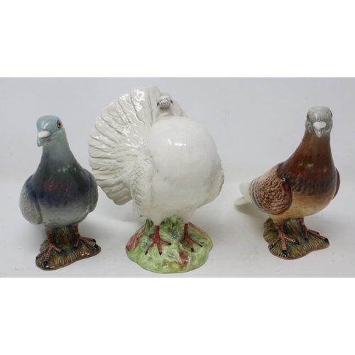 354 - Beswick fan tailed dove model no. 1614, and two Beswick pigeons, no cracks or chips, largest H: 16 c... 